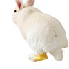 Waterproof Rabbit Hock Socks Bunny Sock for Sore Hocks Elbow