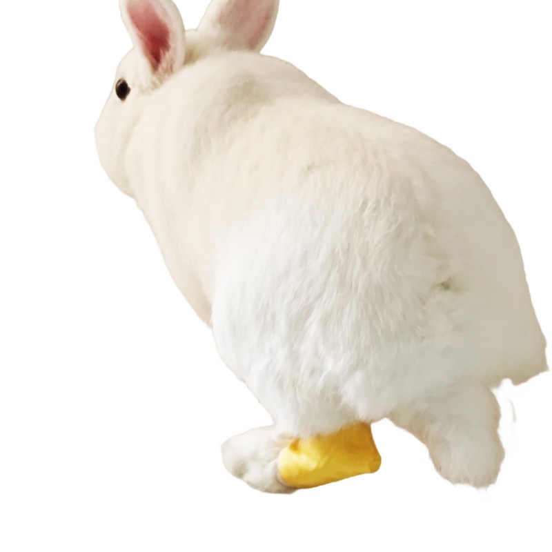 Waterproof Rabbit Hock Socks Bunny Sock for Sore Hocks Elbow