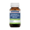 Ethical Nutrient Ginseng-5 Relief Ginseng Extract 60 Tablets / 에티컬뉴트리언트 진생-5 릴리프 인삼추출물 60정