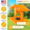 DutchCrafters Plastic Poly Hanging Orange Oriole Bird Feeder with Grape