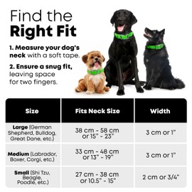 Regal Dog Products Medium Light Green Waterproof Dog Collar and Leash Set | Heavy Duty Double Buckle & D Ring - 5'ft Leash | Adjustable Biothane Dog Collar | Chew Resistant Waterproof Collar for Dogs