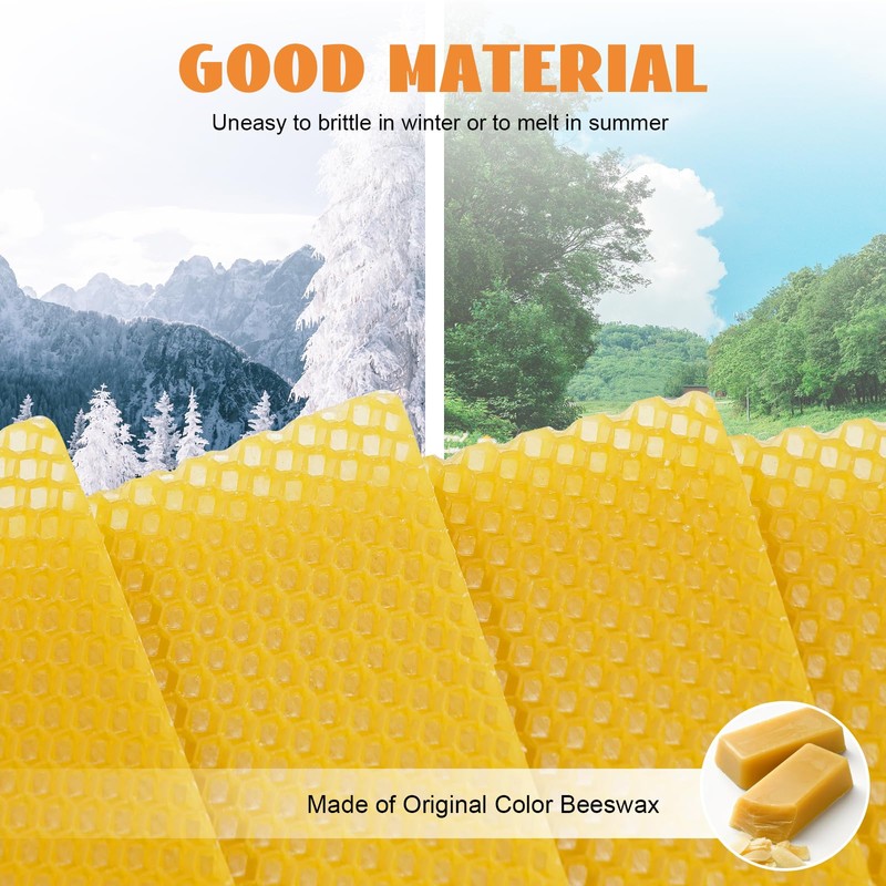 Beehive Waxed Coated Foundation Sheet 30PCS Honeycombs Bee Wax Nest