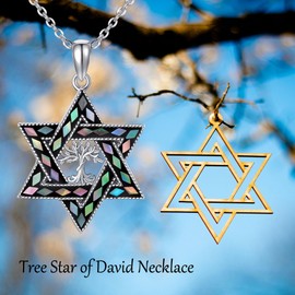 DAYLINLOVE Star of David Necklace 925 Sterling Silver Tree of Life Abalone Shell Pendant Necklace Hexagon Jewish Star Religious Jewellery Gifts for Men Women