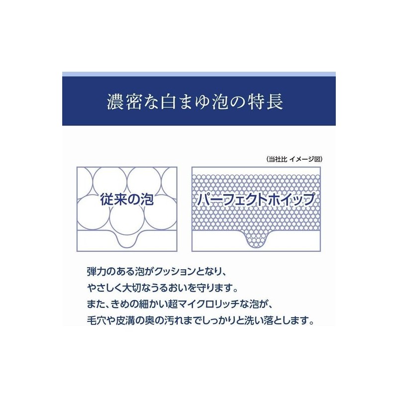 Senka Fine Today Face Wash Specialty [Bulk Purchase] Senka Perfect