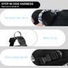 DoggieKit Dog Harness for Small Medium Dogs No Pull Adjustable