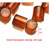 Beekeeping nicot bee Queen Rearing Grafting Kit for nicot System