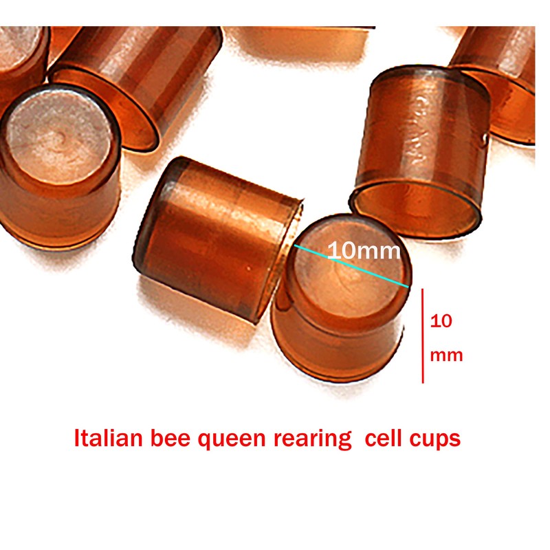 Beekeeping nicot bee Queen Rearing Grafting Kit for nicot System