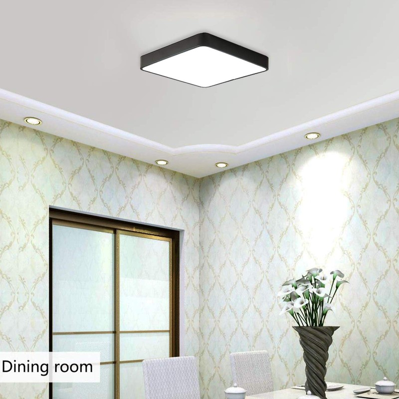 Ganeed LED Ceiling Light Flush Mount,24W 12-Inch Modern Ceiling Lamp