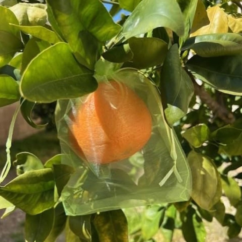 60 Pcs 5.9''×7.8'' Drawstring Fruit Netting Bags, Reusable Garden Netting