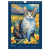 Cats in a play of colors, US-Version (Wall Calendar 2026