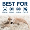 Simple Solution Stain and Odor Eliminator Spray for Dogs &