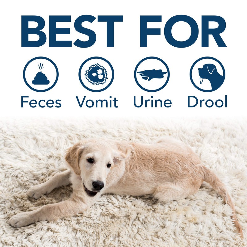 Simple Solution Stain and Odor Eliminator Spray for Dogs &