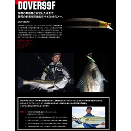 Apia Lure Dover 99mm F 15g #18 GH Black