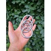 JY-MARINE Stainless Steel 316 Round Ring Welded 1/4" x 1-5/8"