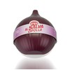 Snips Saver, Food Storage Container, Onion Keeper-12 x 10 x
