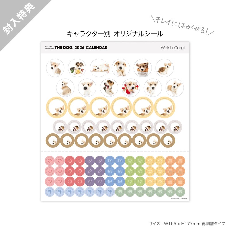 THE DOG 2026 Desktop Calendar (Welsh Corgi)