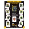 Discover Series Fun Playing Cards - Informational & Educational (Bear