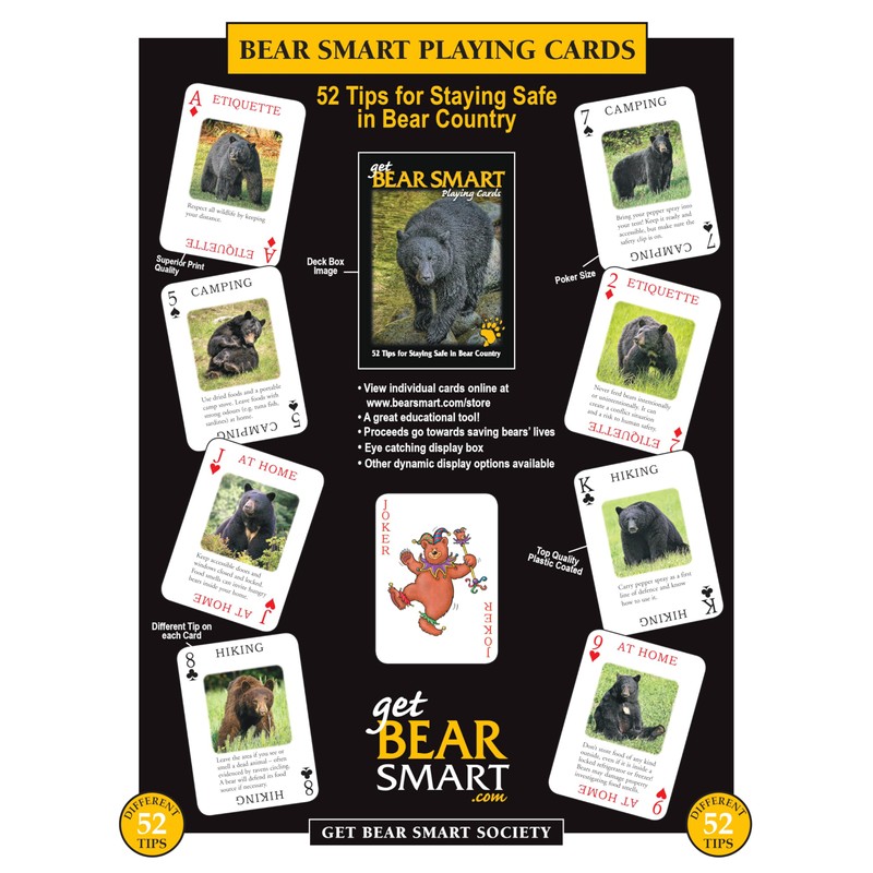 Discover Series Fun Playing Cards - Informational & Educational (Bear