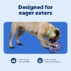 petsafe Busy Buddy Kibble Nibble Meal Dispensing Dog Toy, Small