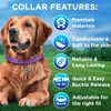 TECEUM Reflective Dog Collar – Purple – M – Extra