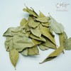 Domestic guava leaf 100g guava leaf tea / 국내산 구아바잎