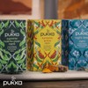 Pukka Herbs Tea for Morning to Night - Supreme Matcha,
