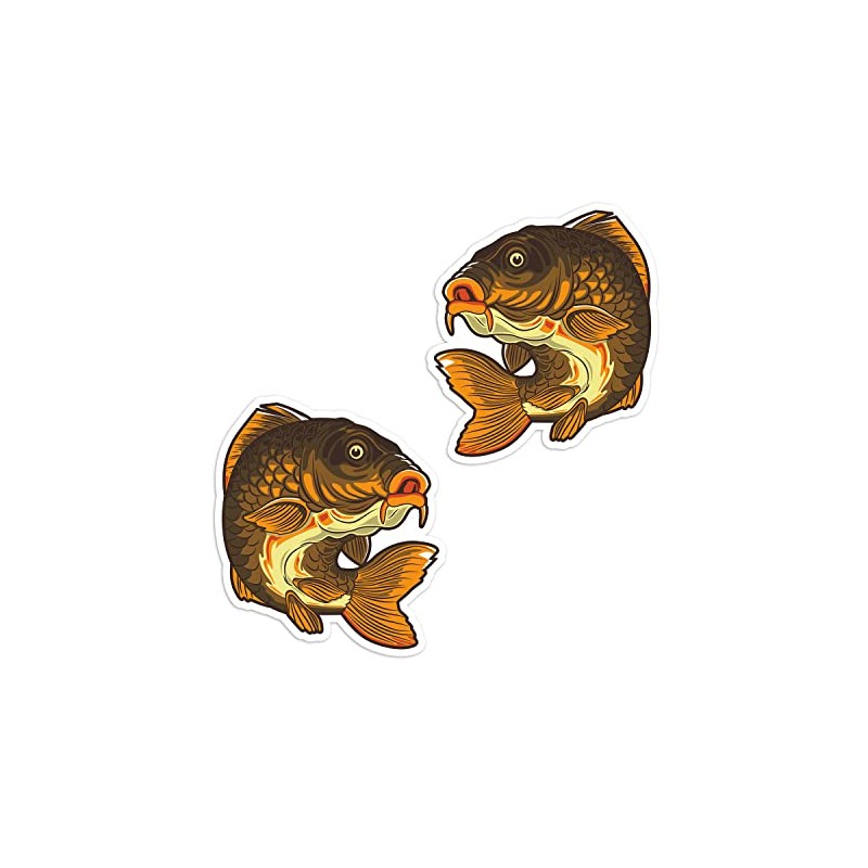 2 x 10cm Carp Fish Vinyl Stickers - Freshwater Fishing