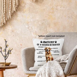 MONALET Funny Golden Retriever Dog Anatomy Throw Pillow Covers 18x18, Dog Decor Decorative Pillow Cases for Bedroom Living Room Bed Sofa Couch, Golden Retriever Gifts Pillowcases for Dog Owner Lovers