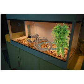 5PCS Reptile Hideaway Hut for Lizard and Gecko, Bearded Dragon Tank Accessories with Ladder and Hammock, Flexible Jungle Vine Decor and Climbing Plants for Reptiles