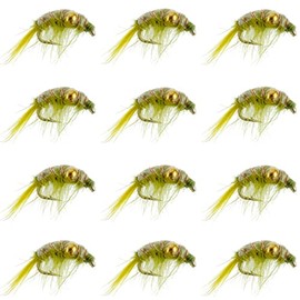 The Fly Fishing Place Olive Beaded Shrimp Scud - 1 Dozen - Patterns Size 12 - Tailwater Lake Fly Fishing Nymph Flies