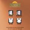 Integral Sunset Vintage 95mm (Globe 95) 2.5W (40W) 1800K 170lm