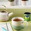 Tetley Tea Mint Green Tea, 24-Count