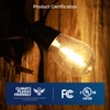 FLSNT 30 Pack LED S14 Replacement Bulbs for String Light,