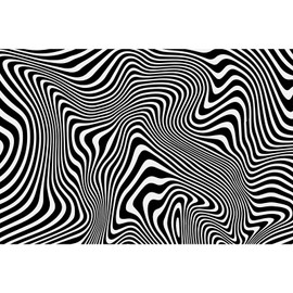 MISITU 1000 Piece Puzzle Adult Difficult 1000 Puzzle Art Black White Puzzle with Blank Back Puzzle Toy 1000 Piece Puzzles for Adults Children