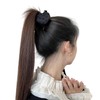 Small Hair Claw Clips for Women - Black Hair Clips