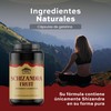 TIBET NATURA - Schizandra - 60 Cápsulas 500 mg c/u