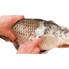 PRO FILSTAR Fish Scaler with Wooden Handle - Fish Scaler