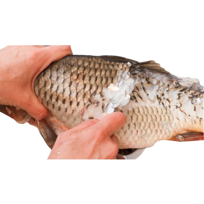 PRO FILSTAR Fish Scaler with Wooden Handle - Fish Scaler