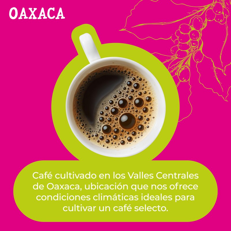 1968 - Café 1968 Oaxaca en Grano 340g | Notas