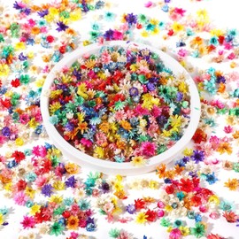 1420 piezas de flores secas de resina para manualidades, epoxi, joyas y arte de uñas, pequeñas flores prensadas naturales para proyectos decorativos