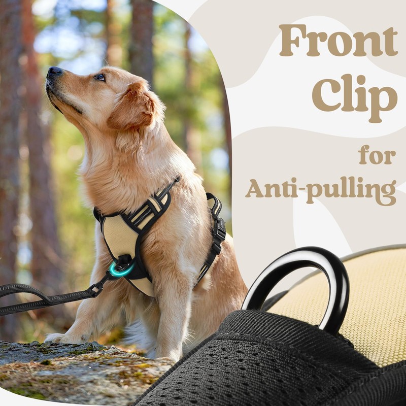 rabbitgoo Dog Harness Small Sized, No Pull Pet Harness with