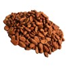 Granos De Cacao Lavado Tabasqueño 1 Kg Vida Silvestre