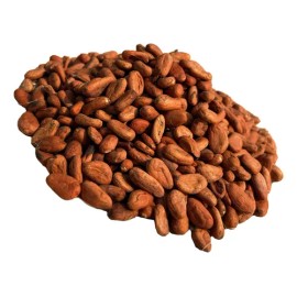 Granos De Cacao Lavado Tabasqueño 1 Kg Vida Silvestre