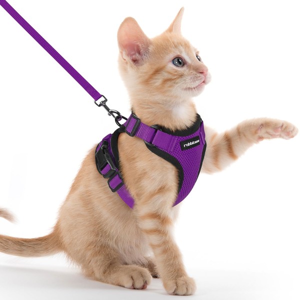 rabbitgoo Cat Harness and Leash for Walking, Escape Proof Soft