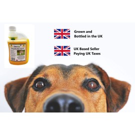 Pureflax Pureflax 500ml 100% Flaxseed Oil Natural UK Grown and Pressed Very High in Omega 3, 6, 9, and Vitamin E Rich Supplement