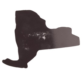 New York Magnet, Collectible Travel Keepsake - 2.75 x 2 Inches