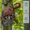 Abia Jaeia Tree Face Sculpture, Funny Red Cap Old Man
