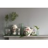 Portmeirion BGHA58050 Canton Magnolia Ceramic Vase 8"