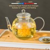 WLASSS 1530 ml/52 oz Glass Teapot with Removable Infuser, Clear