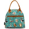 FlowFly Insulated Lunch Cooler Bag - Tote Bag Organizer for